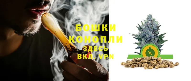 купить наркотик  Верещагино  Бошки Шишки индика 